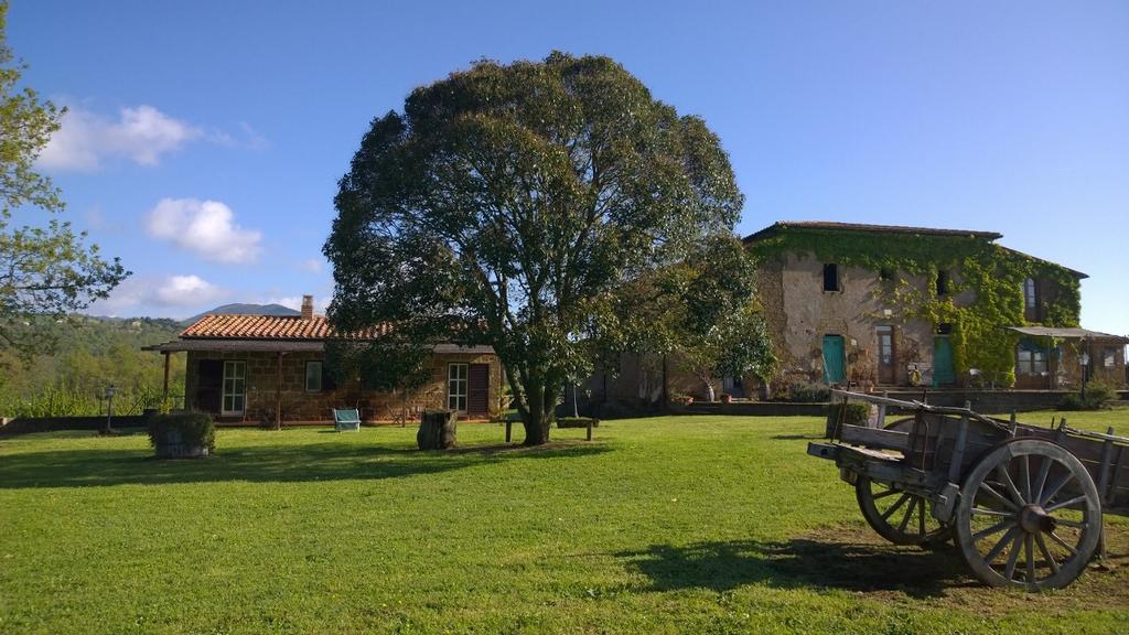Piancasale Sorano (Grosseto)