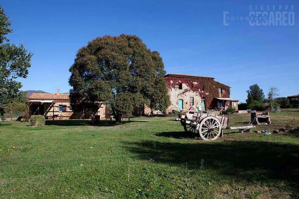 Piancasale Aparthotel Sorano (Grosseto)